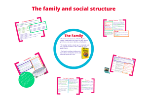 The family and social structure